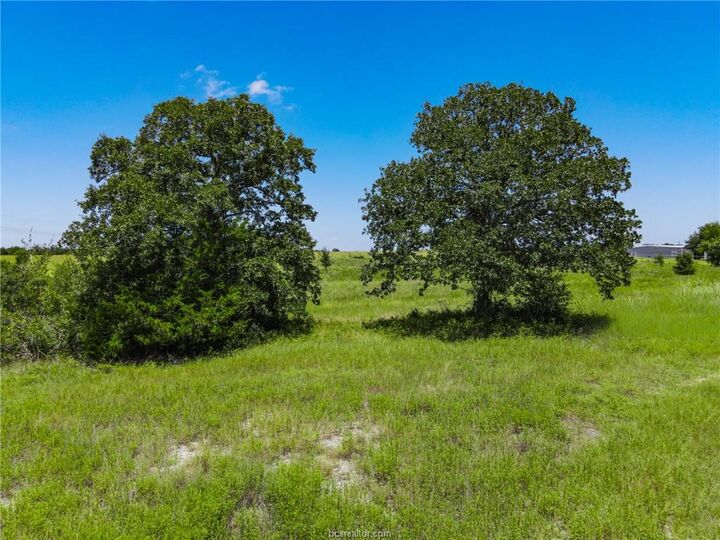 Property Photo:  711 Rock Bottom Road  TX 77868 