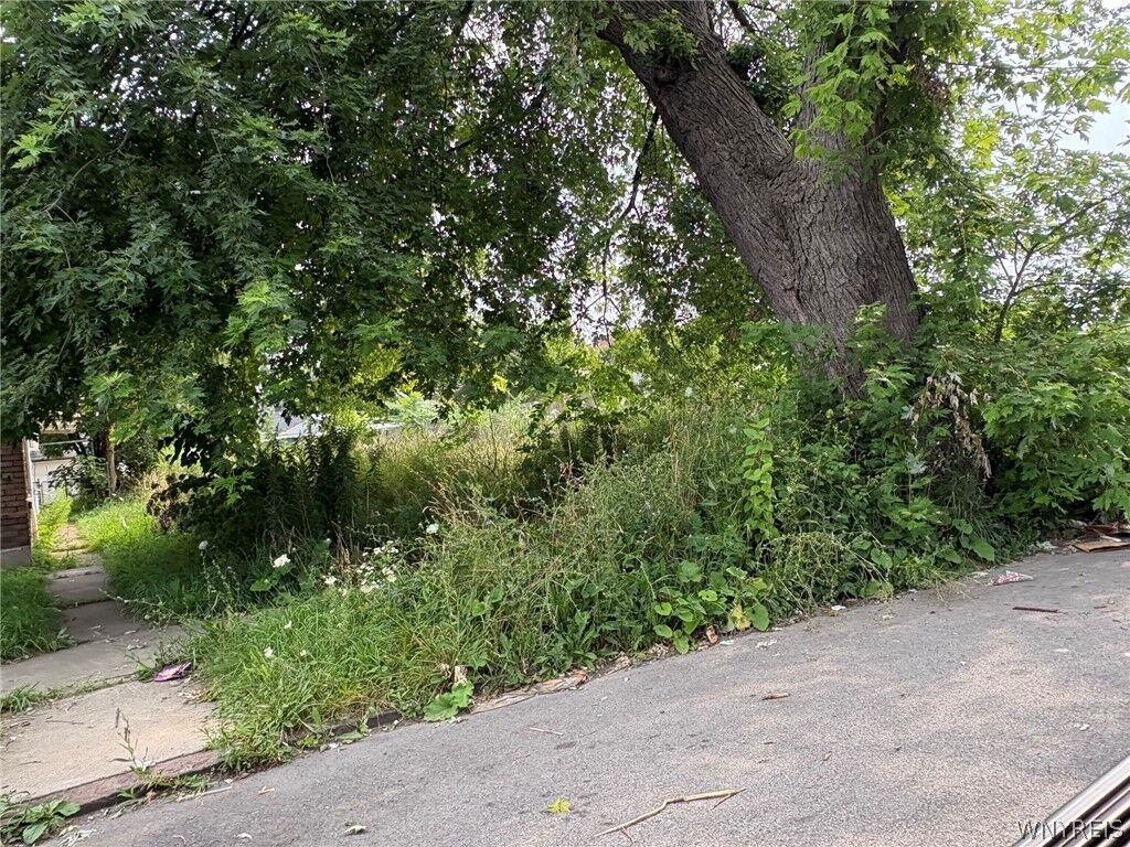 Property Photo:  1119 La Salle Avenue  NY 14301 