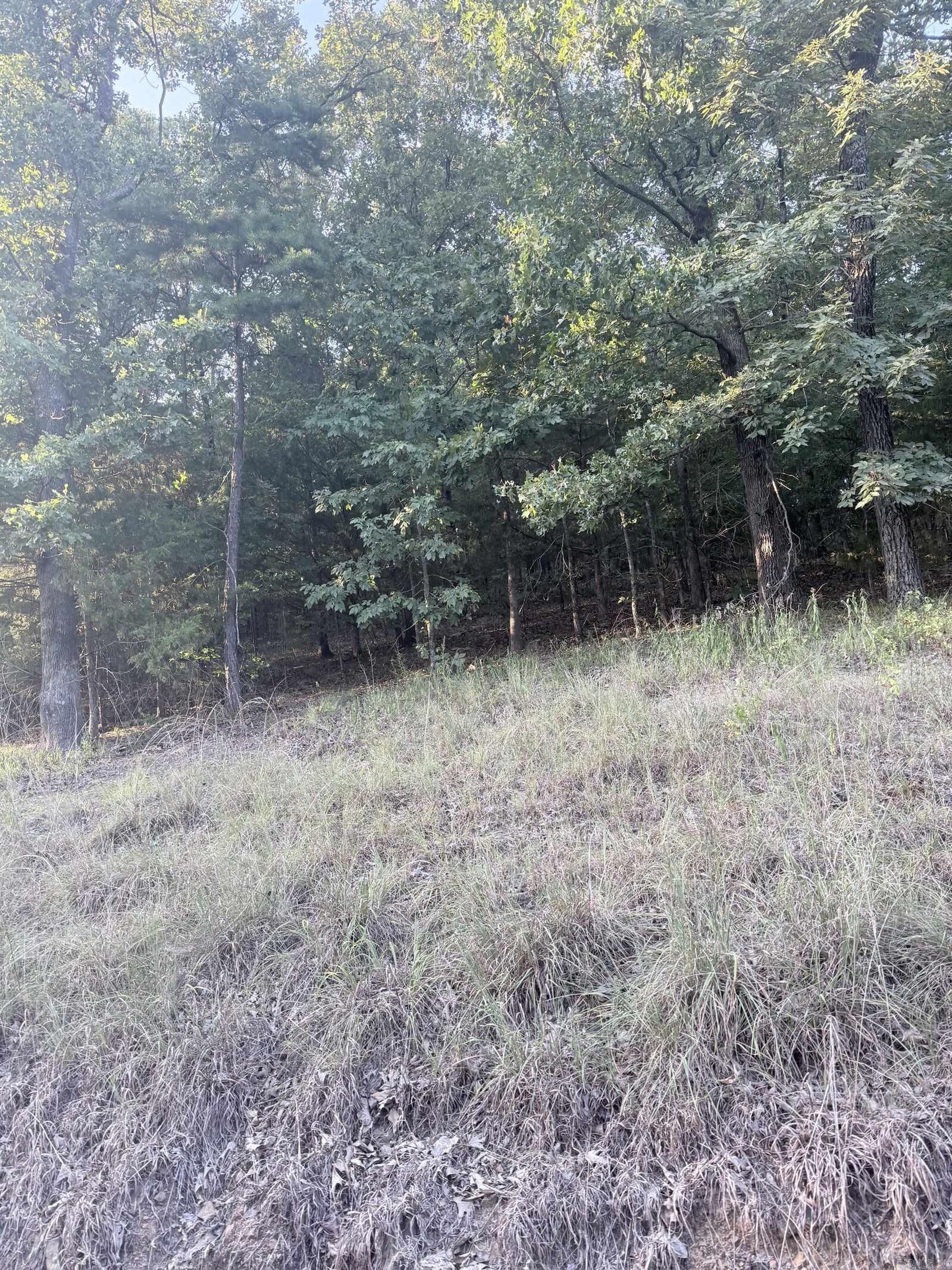 Property Photo:  Lot 14 Ridge  AR 72106 