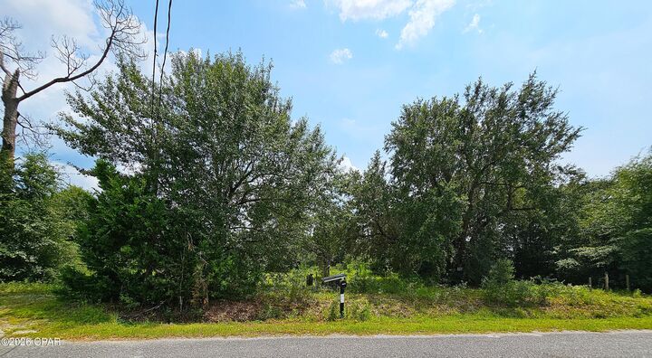 Property Photo:  9140 Deanne Road  FL 32404 