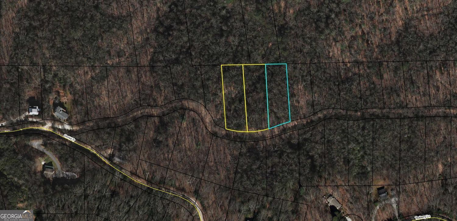 Property Photo: 0 Orchid Lots 368,369,And 370 GA 30525