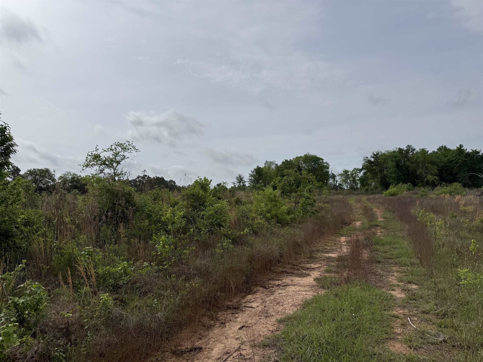 Property Photo:  Cr 347  TX 75652 