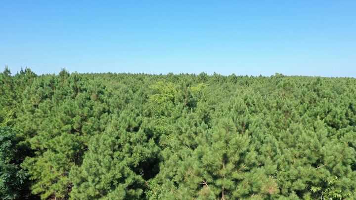 Property Photo:  0000 County Road 1619  TX 75563 