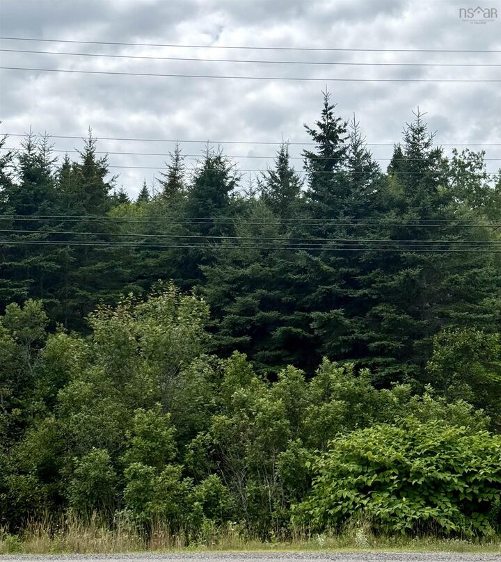 496 Highway 4 — photo 1