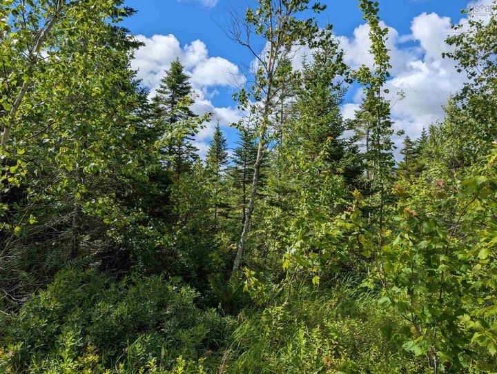 Property Photo:  80 Acres Dalrymple Rd Road  NS B0N 2L0 