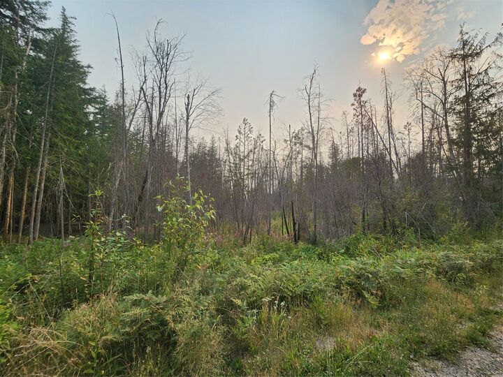 Property Photo: Lot 2 Meadow Creek Road BC V0E 1M6