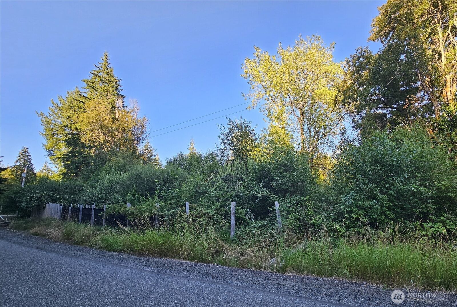 Property Photo: 236 Porter Creek Road WA 98541