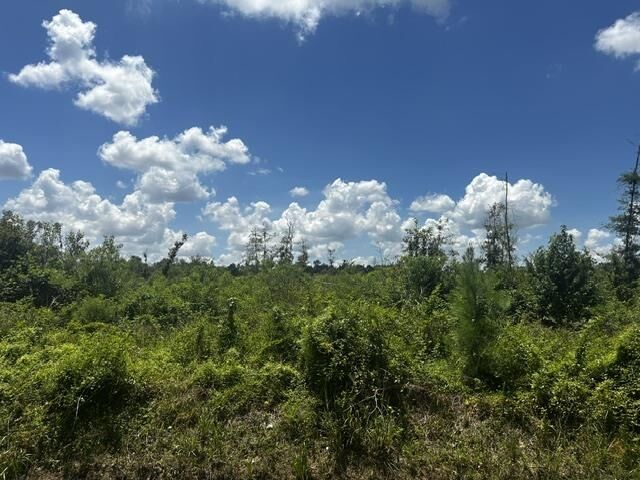 Property Photo:  0000 Piney Point Lane  TX 77708 