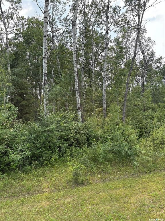 Property Photo:  9 Wilson Crescent  SK S0J 0E0 