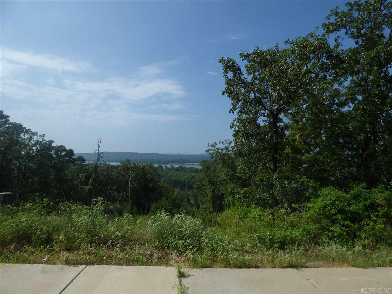 Property Photo: 173 Manitou Drive AR 72113