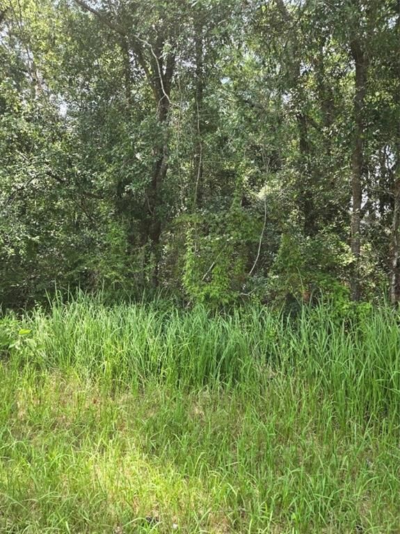 Property Photo:  2749 Bear Fork Road  AL 36613 