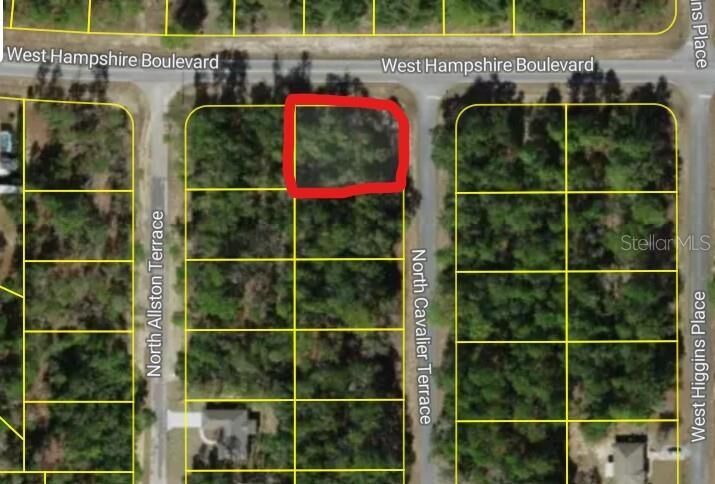 Property Photo: 6344 N Cavalier Terrace FL 34433