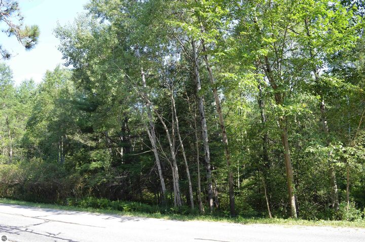 Property Photo:  Old M-72  MI 49646 