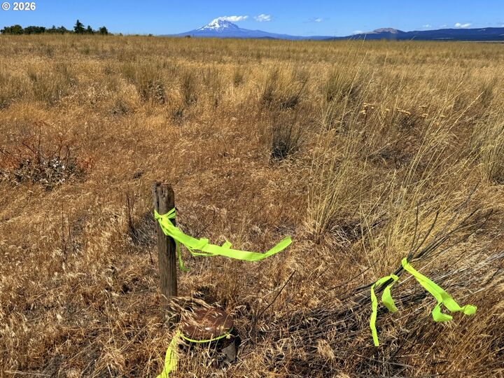 Property Photo:  Erickson Rd 32  WA 98613 