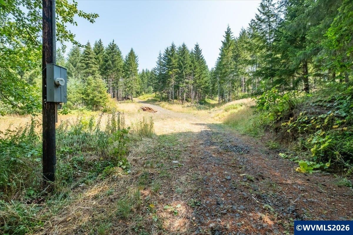Property Photo: 41662 Grover Rd OR 97326
