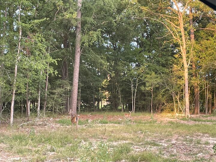 Property Photo: Tbd N Clear Springs Road TX 75862