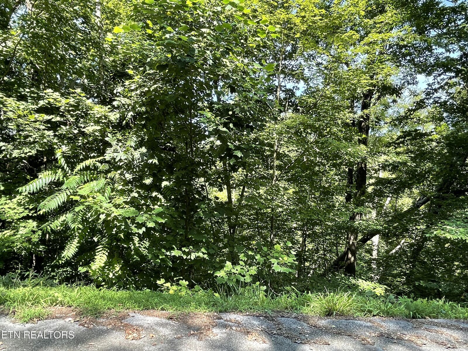 Property Photo:  Lot 926 Stoneway Court  TN 37890 