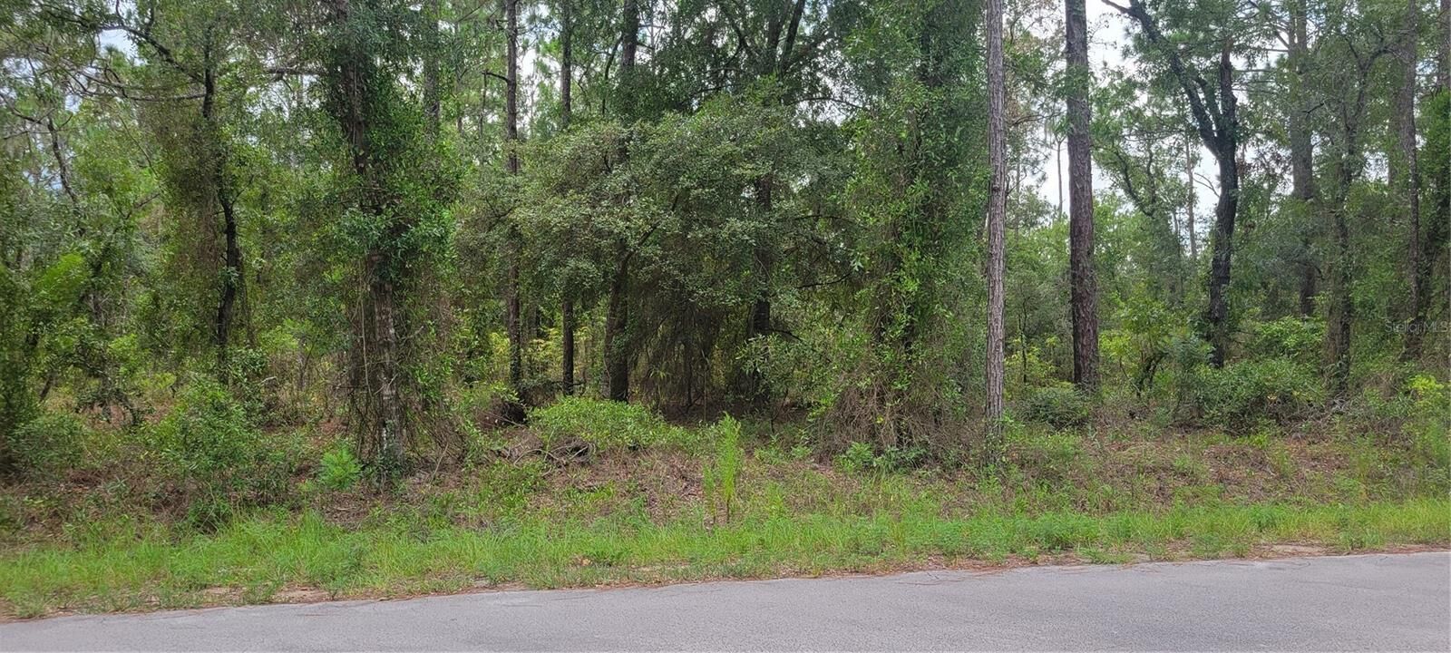 Property Photo:  0 NW Chestnut Avenue  FL 34431 