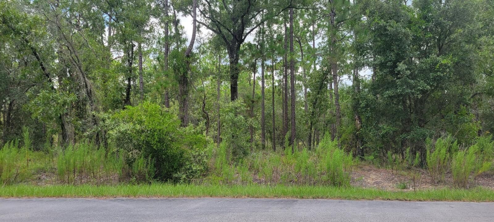 Property Photo:  0 NW Chestnut Avenue  FL 34431 