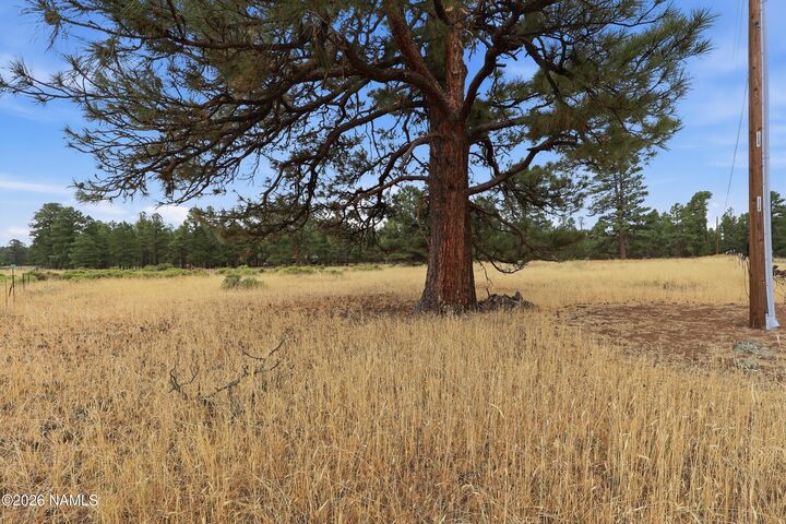 Property Photo: 6314 E Burris Lane AZ 86004