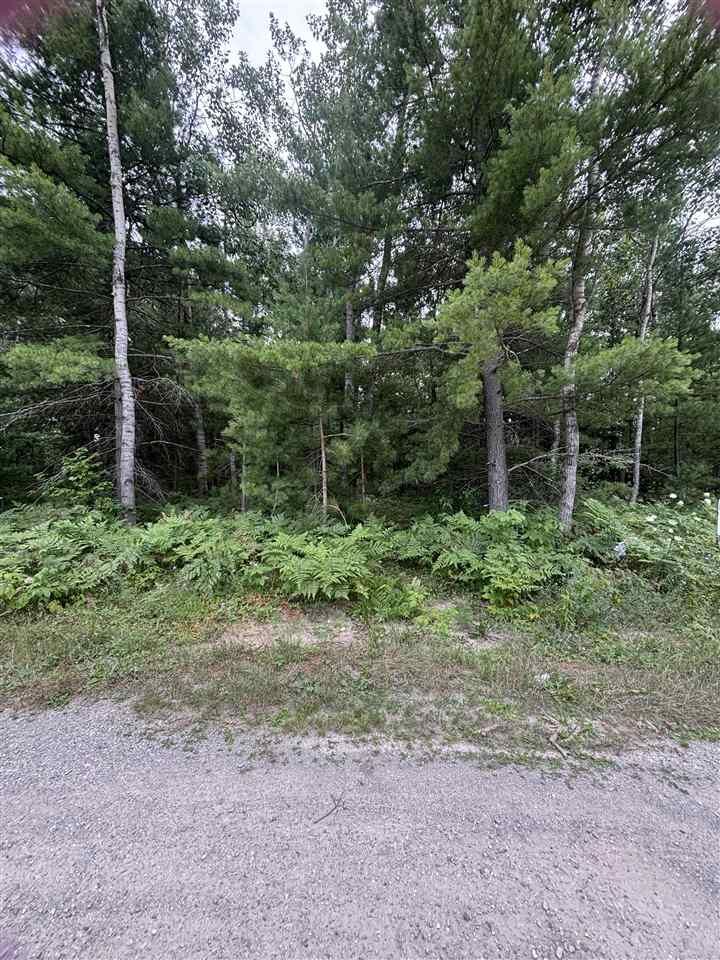 Property Photo:  871 Zipf  MI 49769 