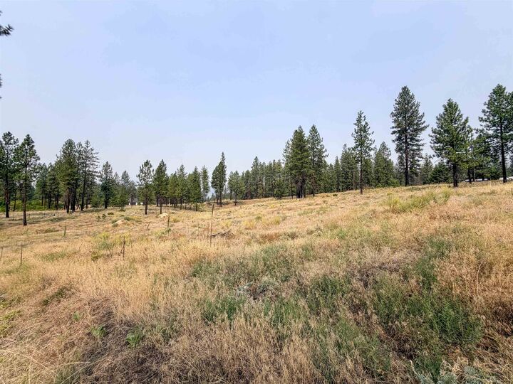 Property Photo:  1315 Inez Way  WA 99141 