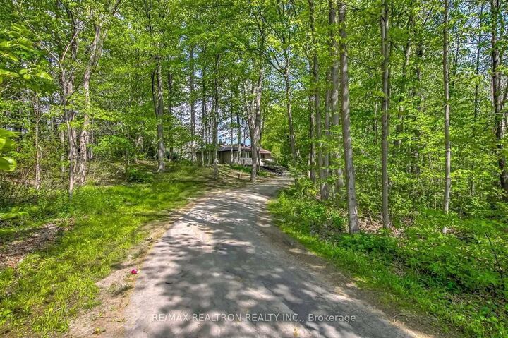 Property Photo: 9563 Warden Avenue ON L6C 1M5