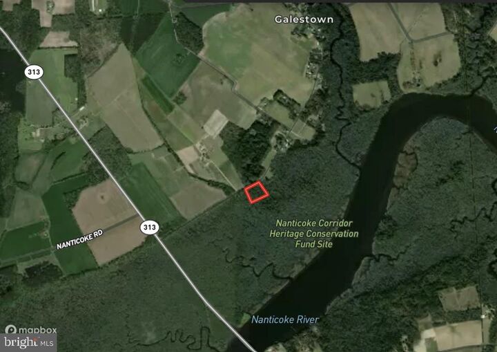 Property Photo: 0 Galestown Road MD 21659