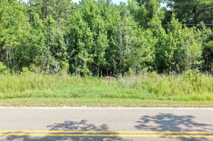 Property Photo:  Tbd Right Hand Ct  SC 29440 