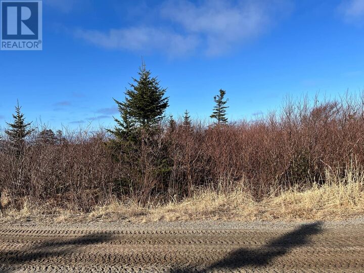 Property Photo:  106 Memorial Drive  NL  