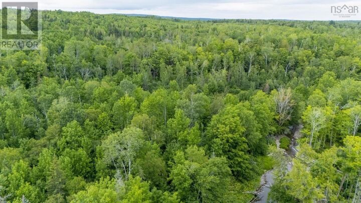 Property Photo:  Graveyard Road, Stillman  NS B0K 1P0 