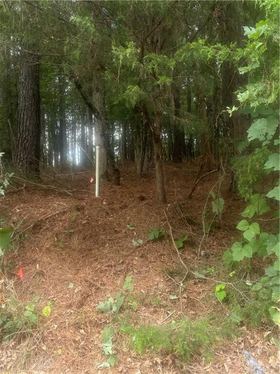 Property Photo: 2054 Euharlee Road SW GA 30178