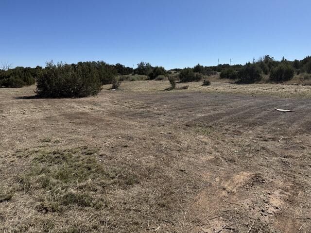 Property Photo: Tbd Indian Hills Road NM 87035