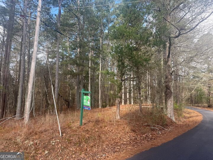 Property Photo:  8615 Smith James Road Tract 2  GA 30039 