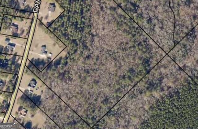 Property Photo: 0 Payne Road GA 31075