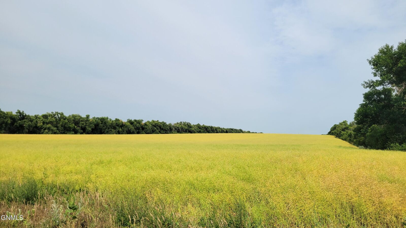 Property Photo:  Tract 3 On 66th Street SE  ND 58501 