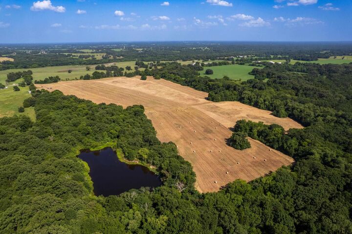 Property Photo: 940 E County Road 1106 TX 75482