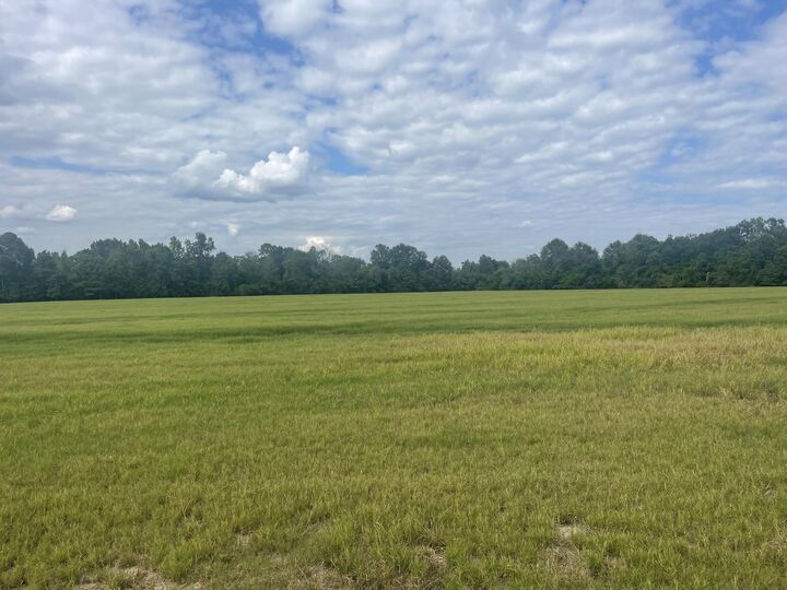 Property Photo: 15.5 Ac +- Carterville Rd. MS 39465