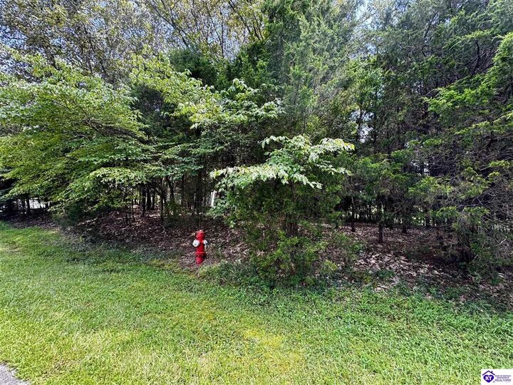 Property Photo:  Lot 240 Warbler Road  KY 40108 