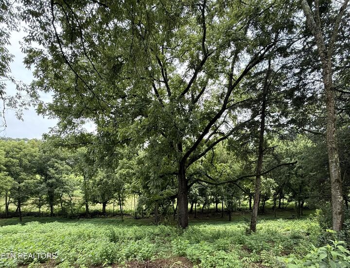 Property Photo:  Lot 1 Mitchell Rd  TN 37820 