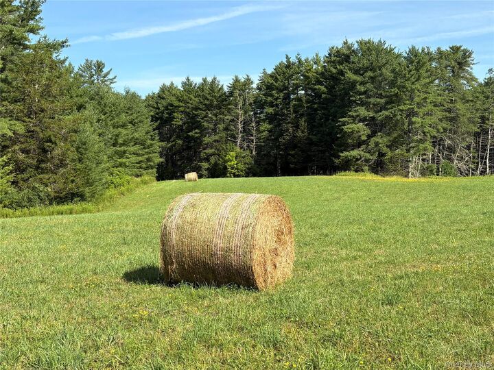 Property Photo:  379 Stryker Road  NY 12076 