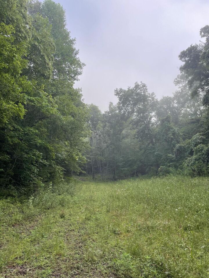 Property Photo: Tbd Bullen Valley Road TN 37881