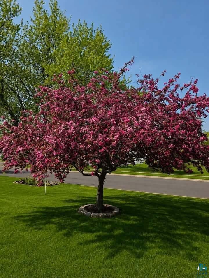 Property Photo:  2206 Hammond Ave  WI 54880 
