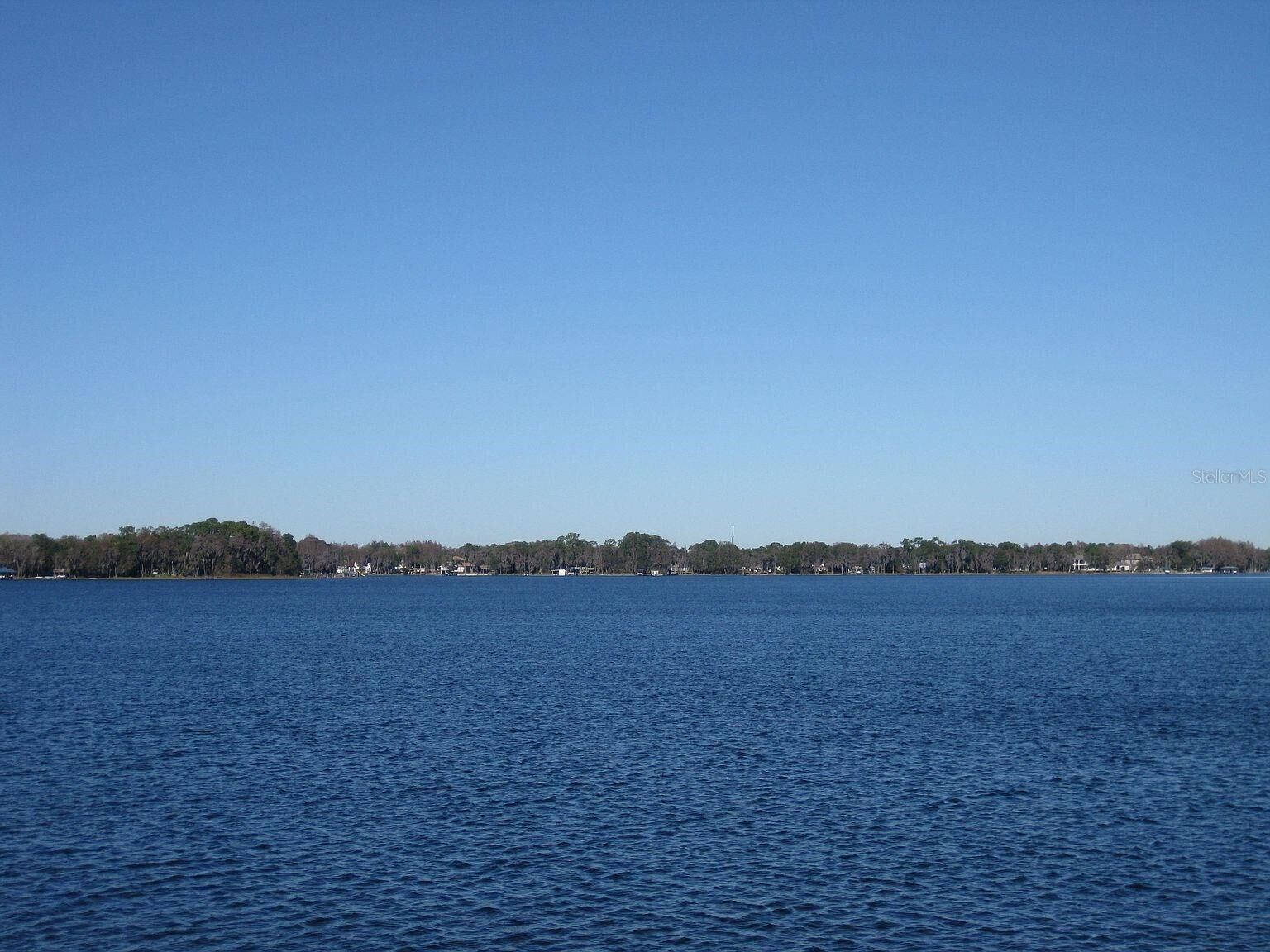 Property Photo:  18618 Wayne Road  FL 33556 