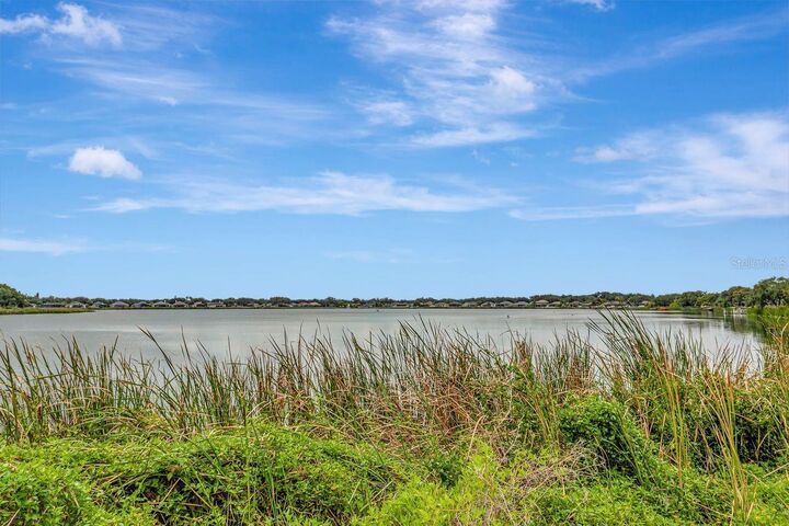 Property Photo:  6818 Waterton Drive  FL 33578 