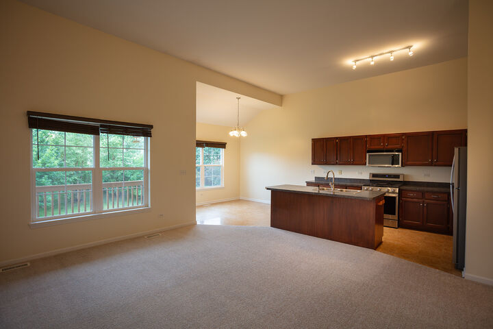 Property Photo: 23045 Ironwood Drive IL 60586