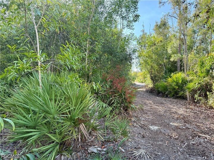 Property Photo: Guava Avenue FL 33922