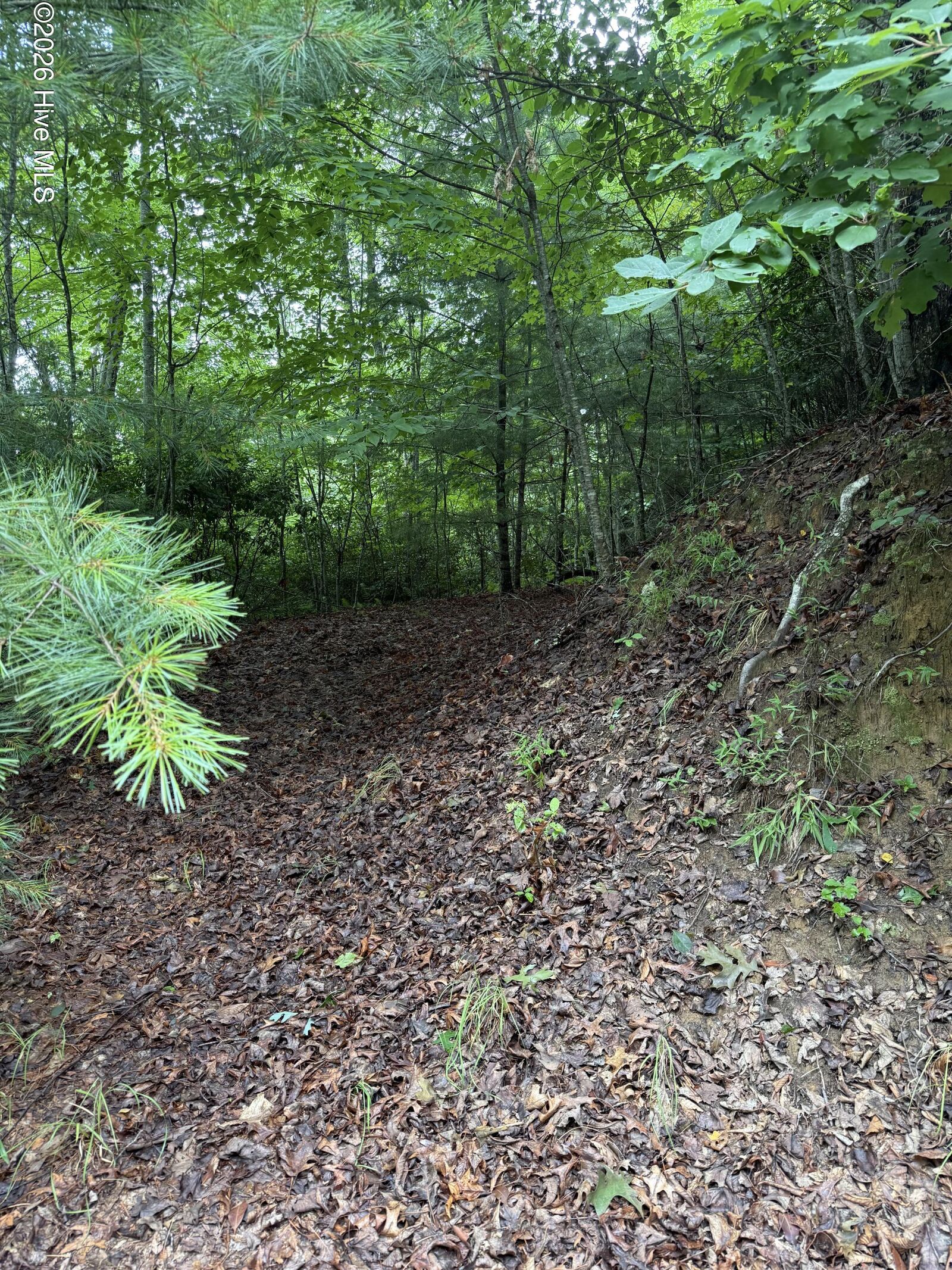 Property Photo:  Lot 3 3 Mountain Vista Lane  NC 28781 
