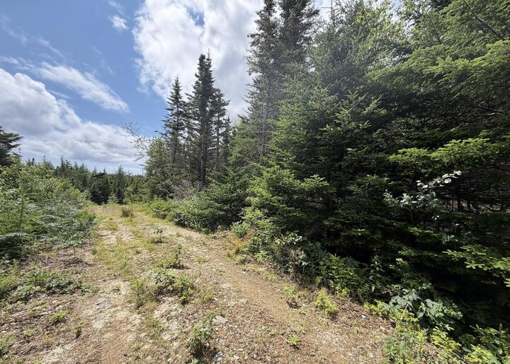 Property Photo:  Lot 09-2 West Liscomb Point Road  NS B0J 2A0 