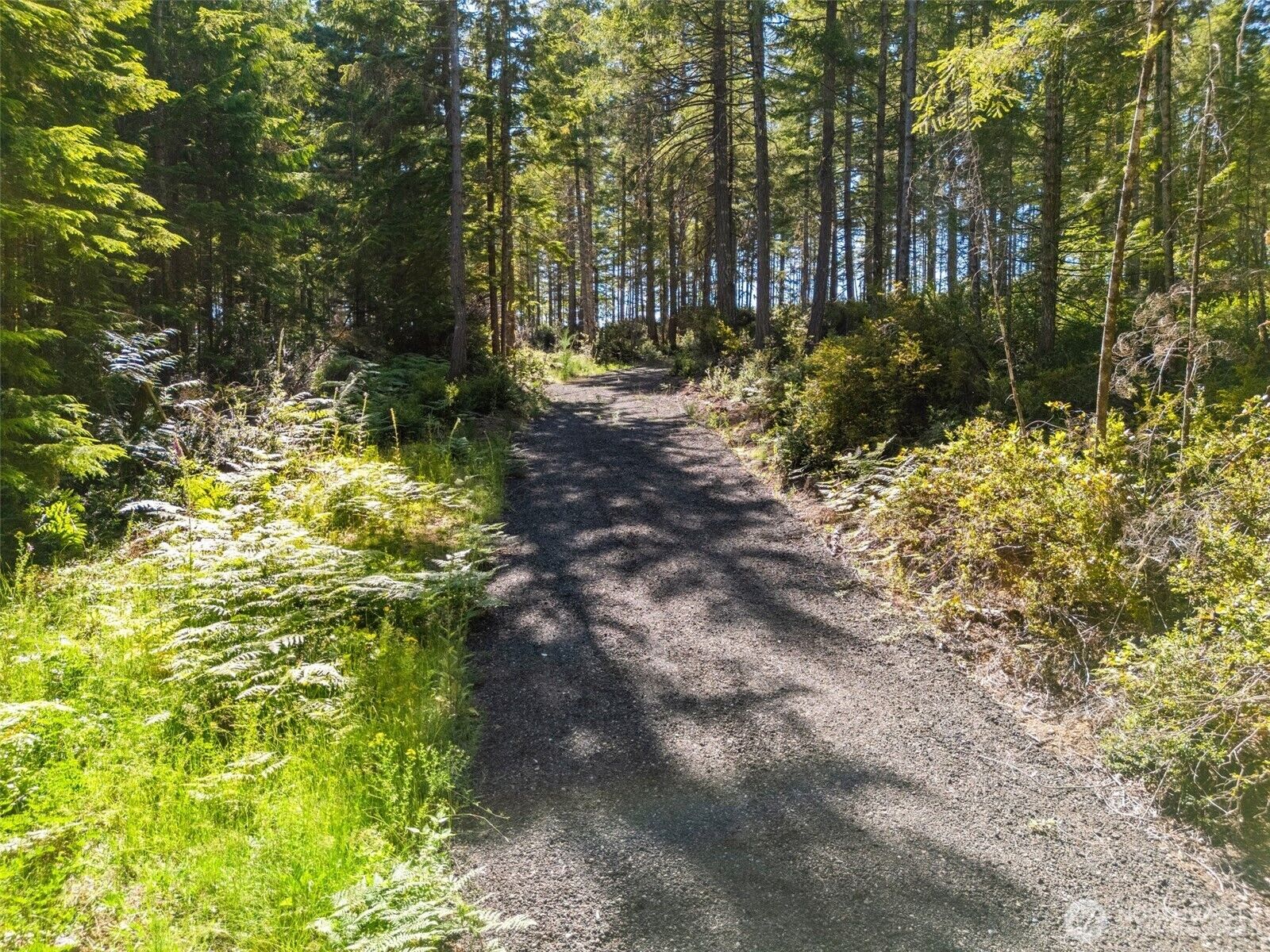 Property Photo: 0 Tr3 E Mason Lake Road WA 98546
